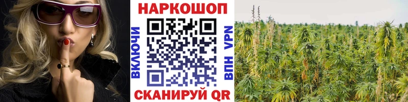 Купить наркоту Петровск Бошки Шишки  hydra онион  ГАШИШ  АМФ  Кодеин 