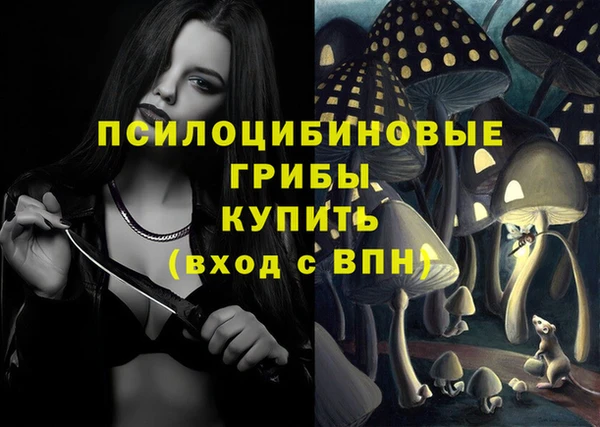 ПСИЛОЦИБИНОВЫЕ ГРИБЫ Михайловск