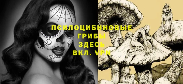 спайс Алзамай