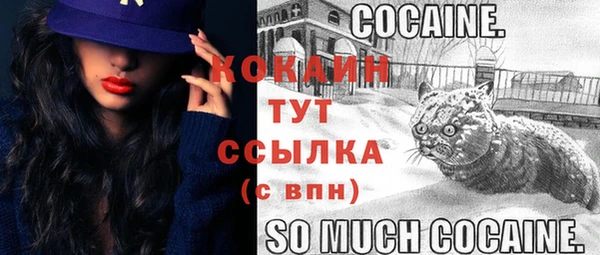 мяу мяу мука Михайлов