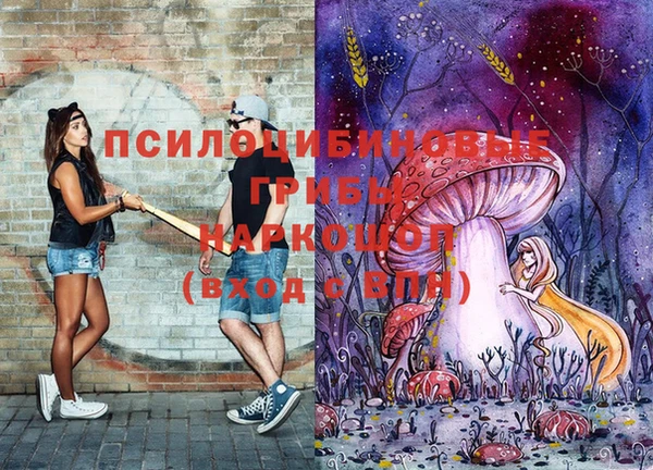 спайс Алзамай