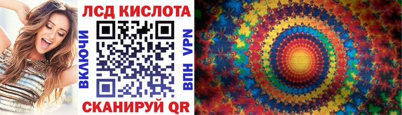 Марки N-bome 1500мкг  где можно купить   mega маркетплейс  Петровск 