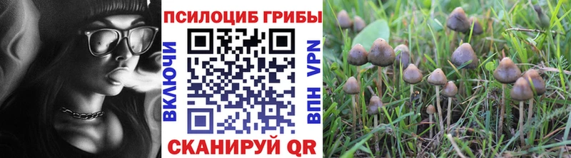 Галлюциногенные грибы прущие грибы Петровск